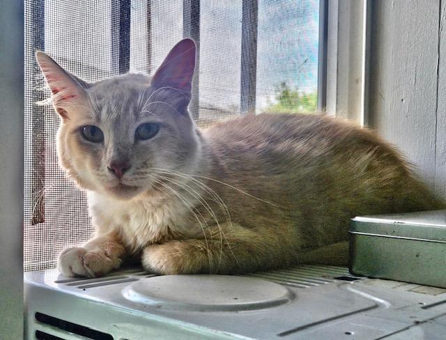 Winston photo 6