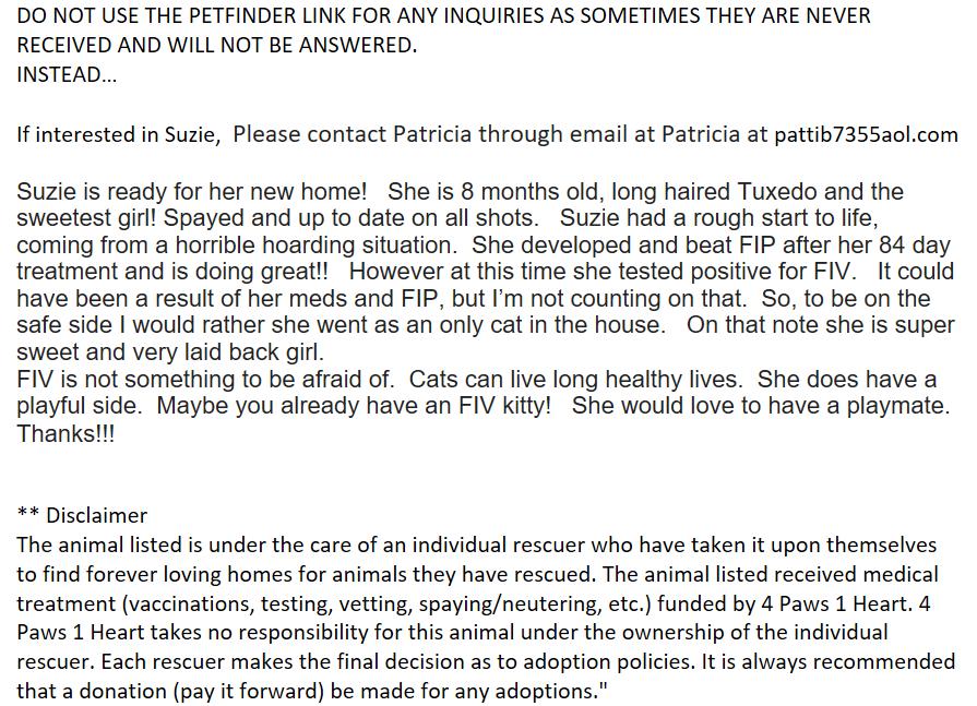 Suzie (Courtesy Post) photo 2