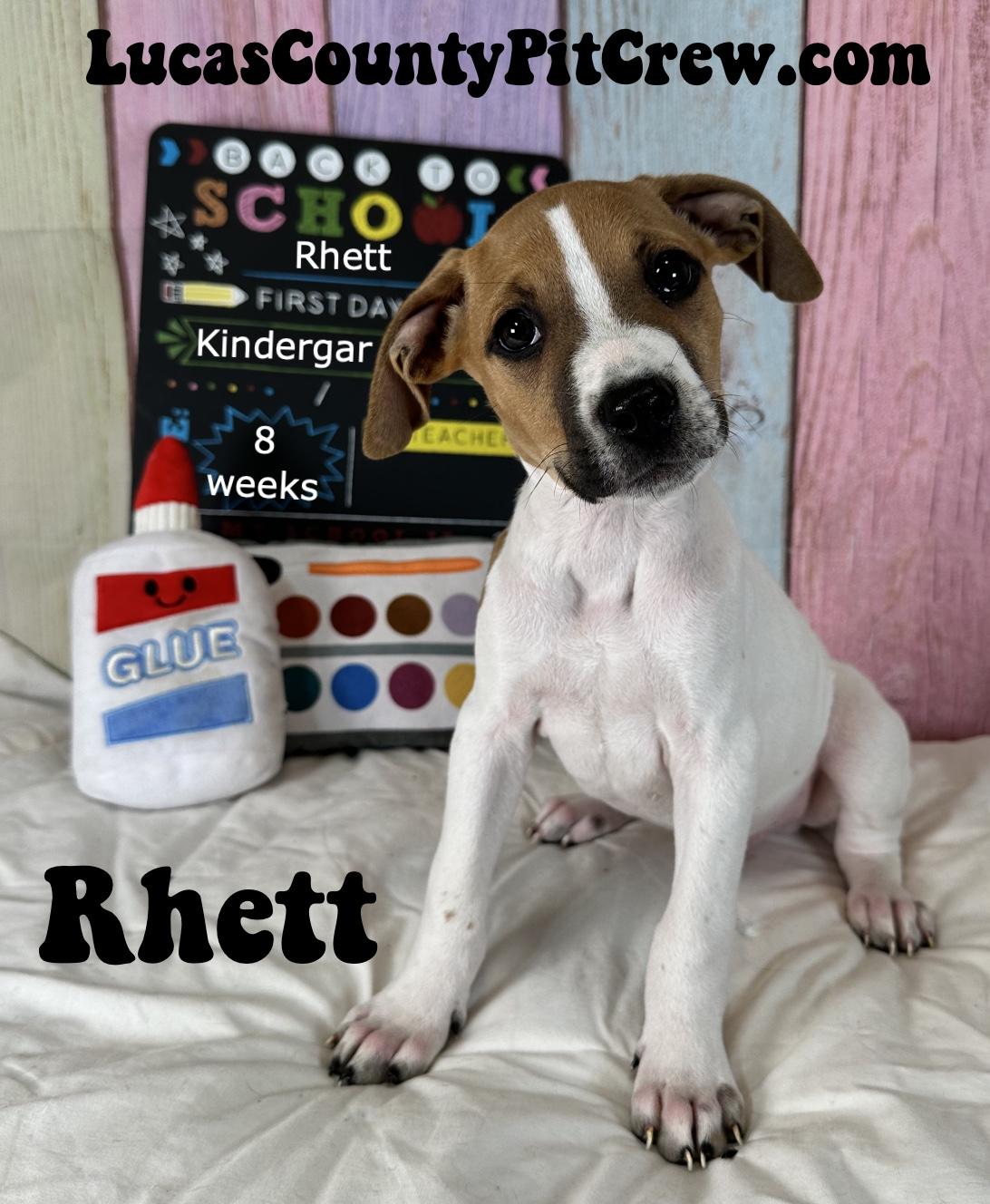 Rhett