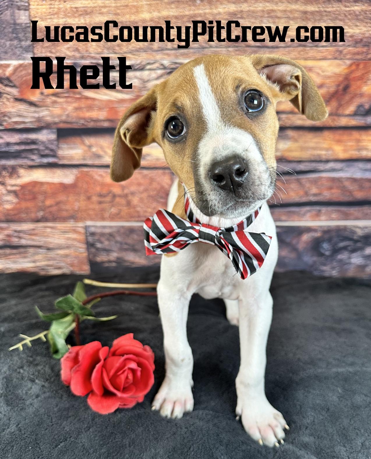 Rhett