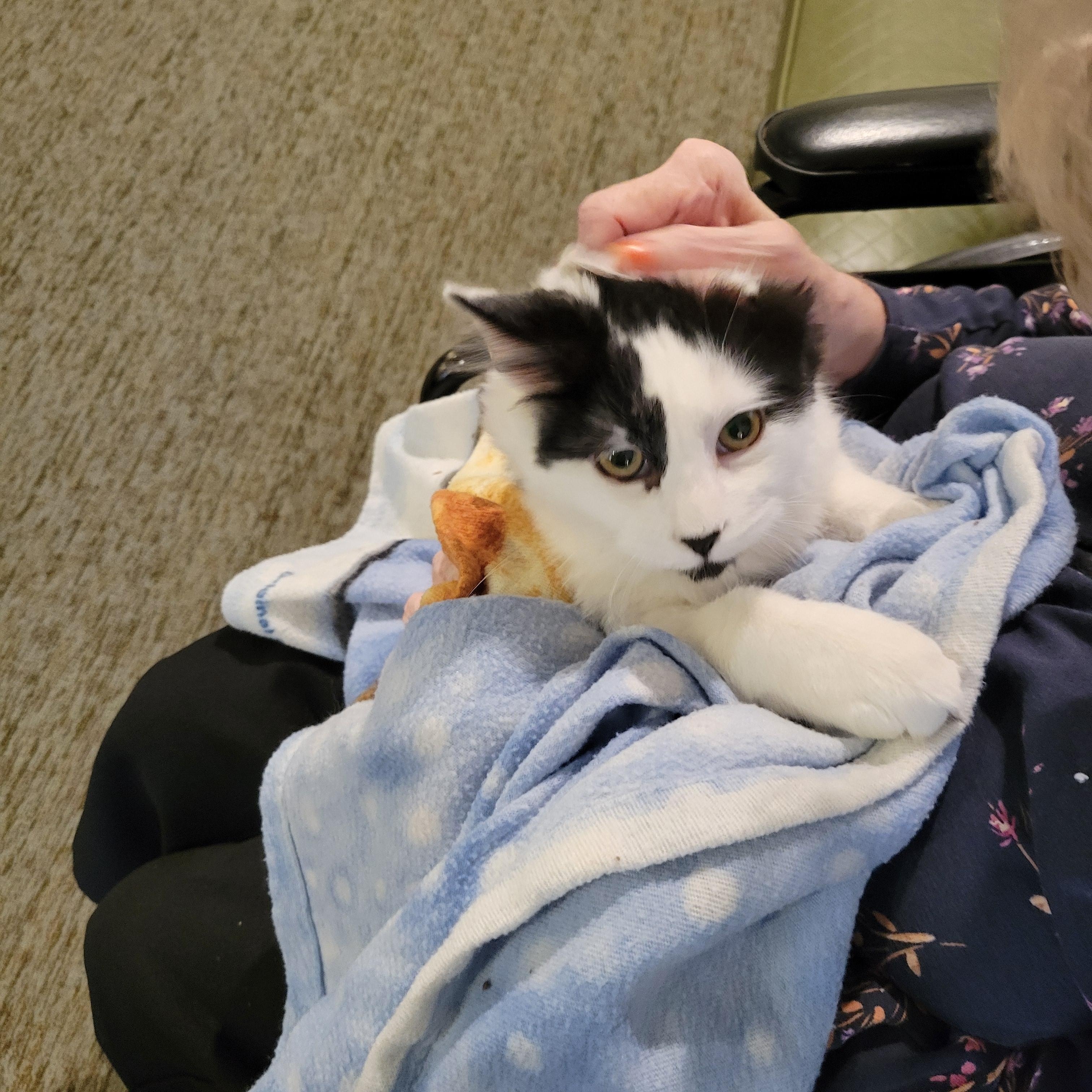 Brooks — thumbnail 2