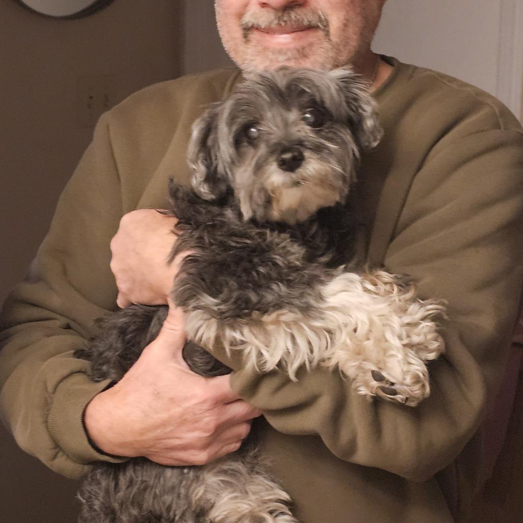 Enlarge Bootsie, a Adoptable mixed breed in Pacifica, CA image 2/5