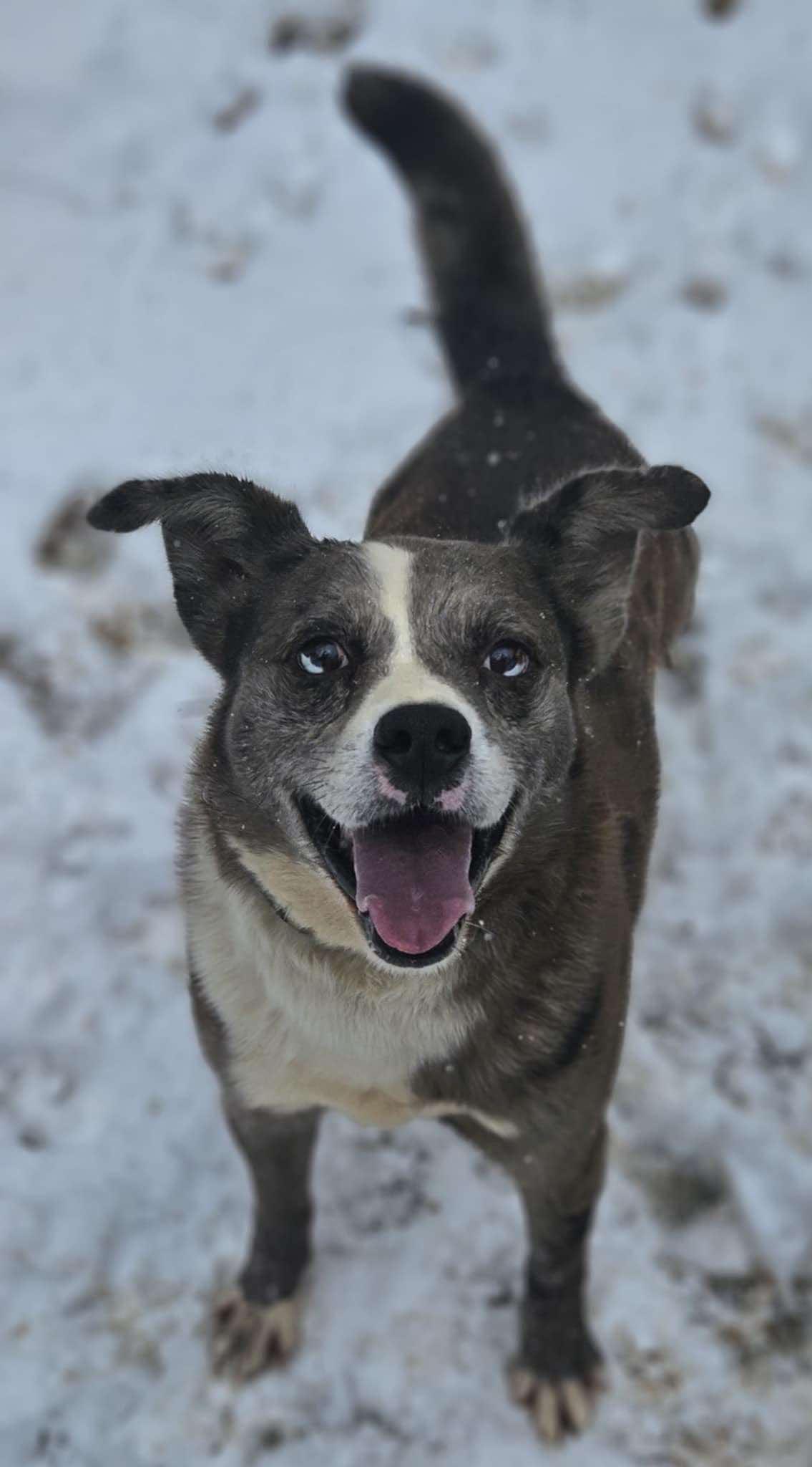 Rocco (20241016-22) — thumbnail 5