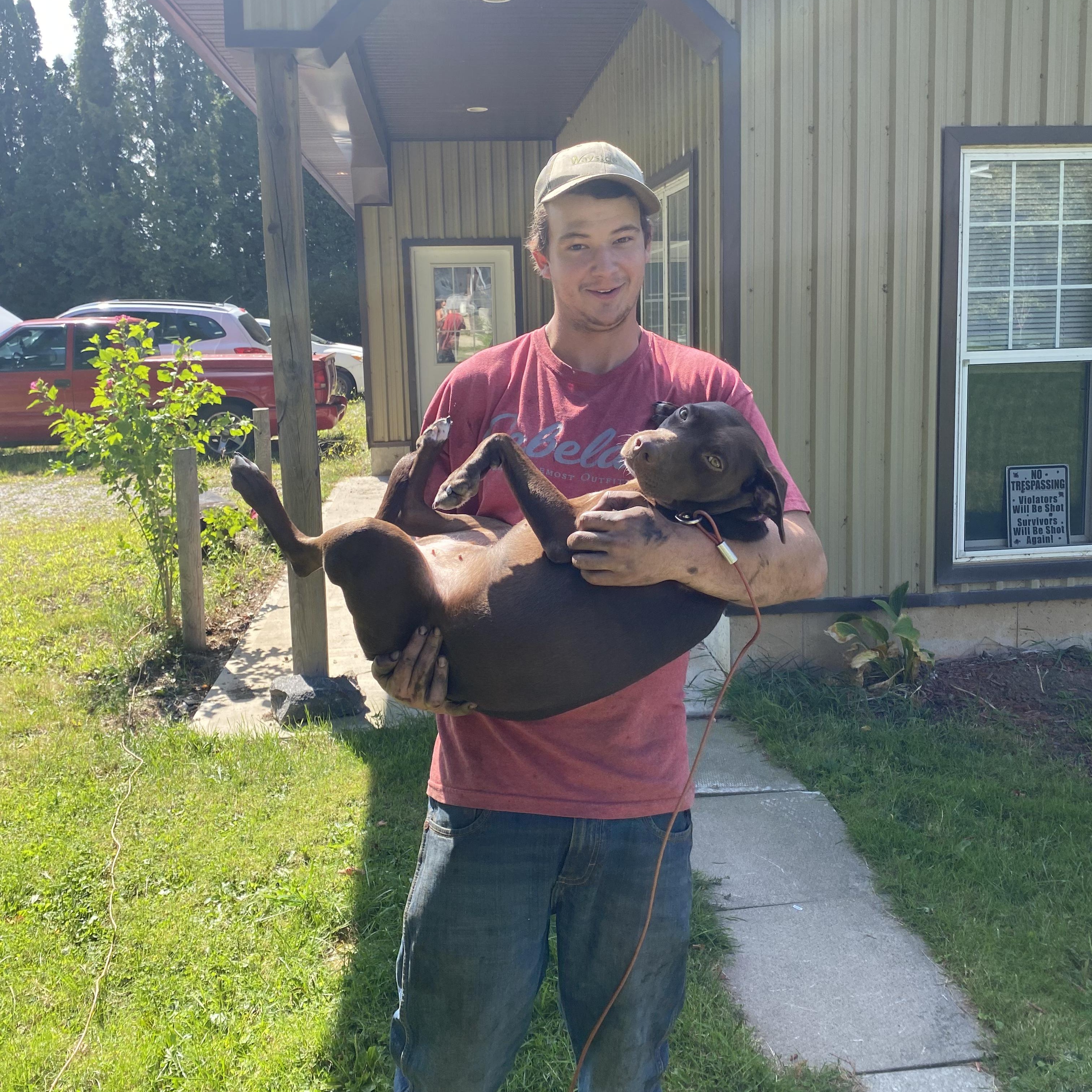 Bonnie, a Adopted mixed breed in KITCHENER, ON image 5/6