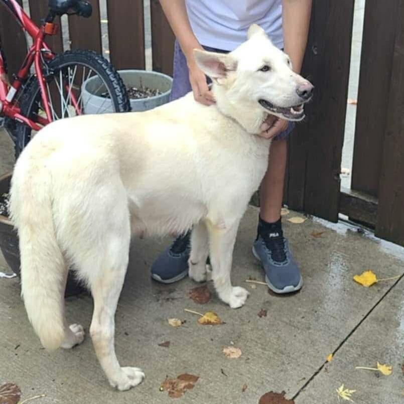 Cloudy (20251008-01)