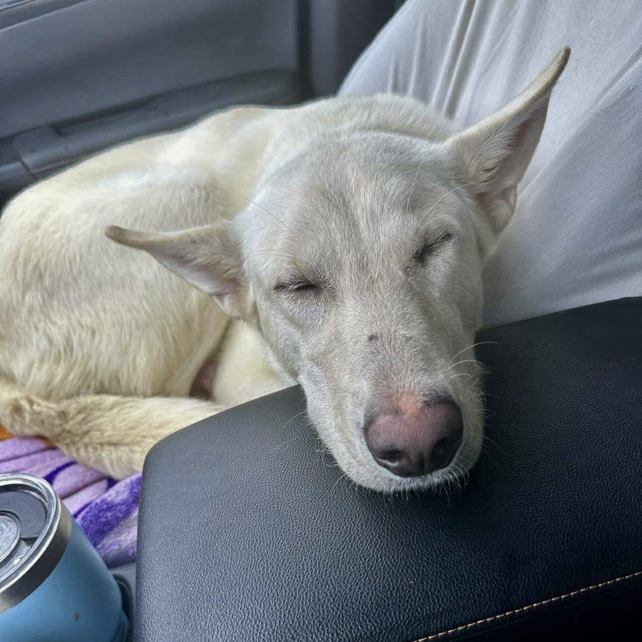 Cloudy (20251008-01)