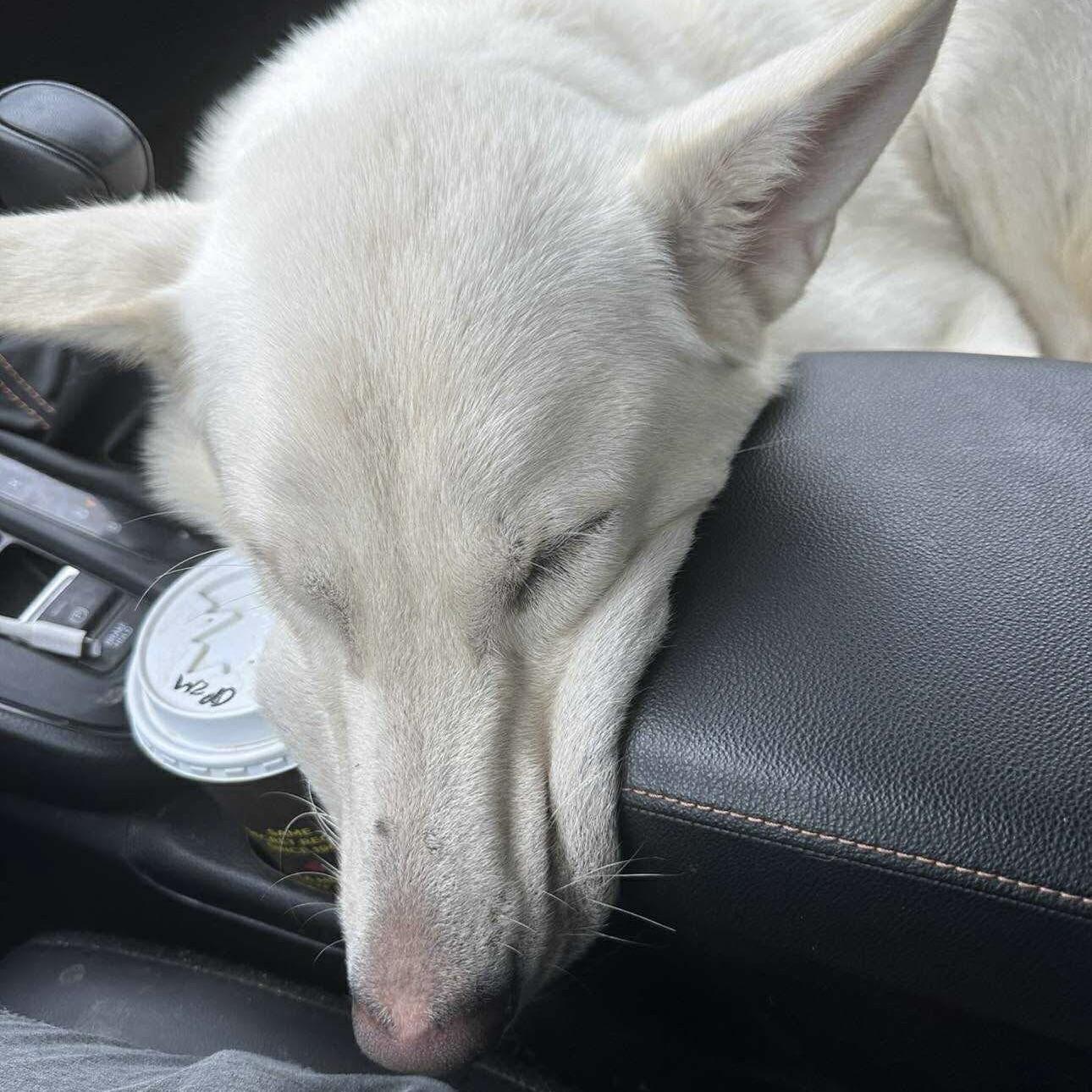 Cloudy (20251008-01)