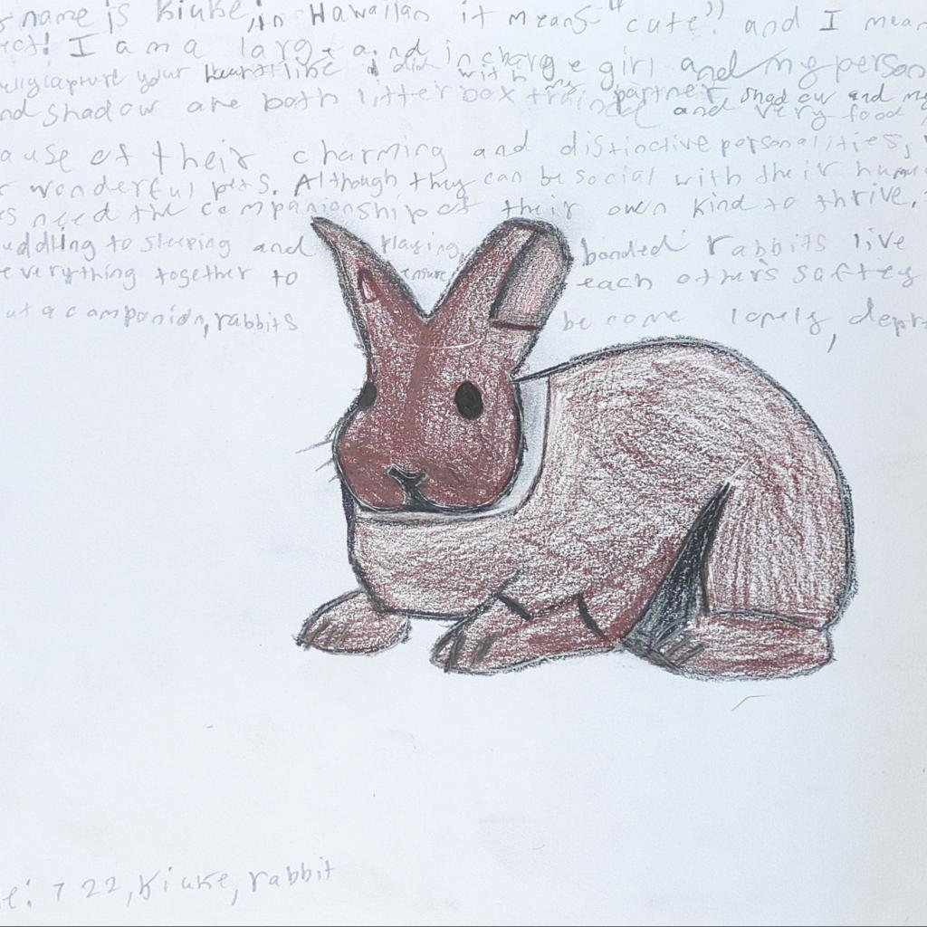 Kiuke, a Adoptable American image 2/5