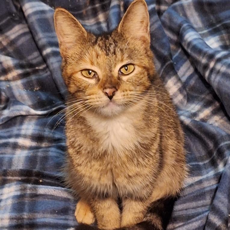 Kristin — thumbnail 2