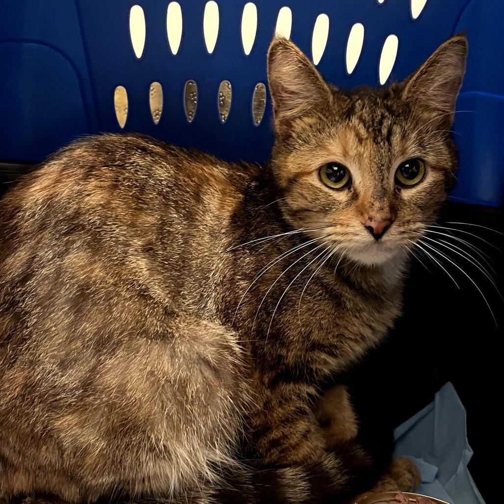 Kristin — thumbnail 3