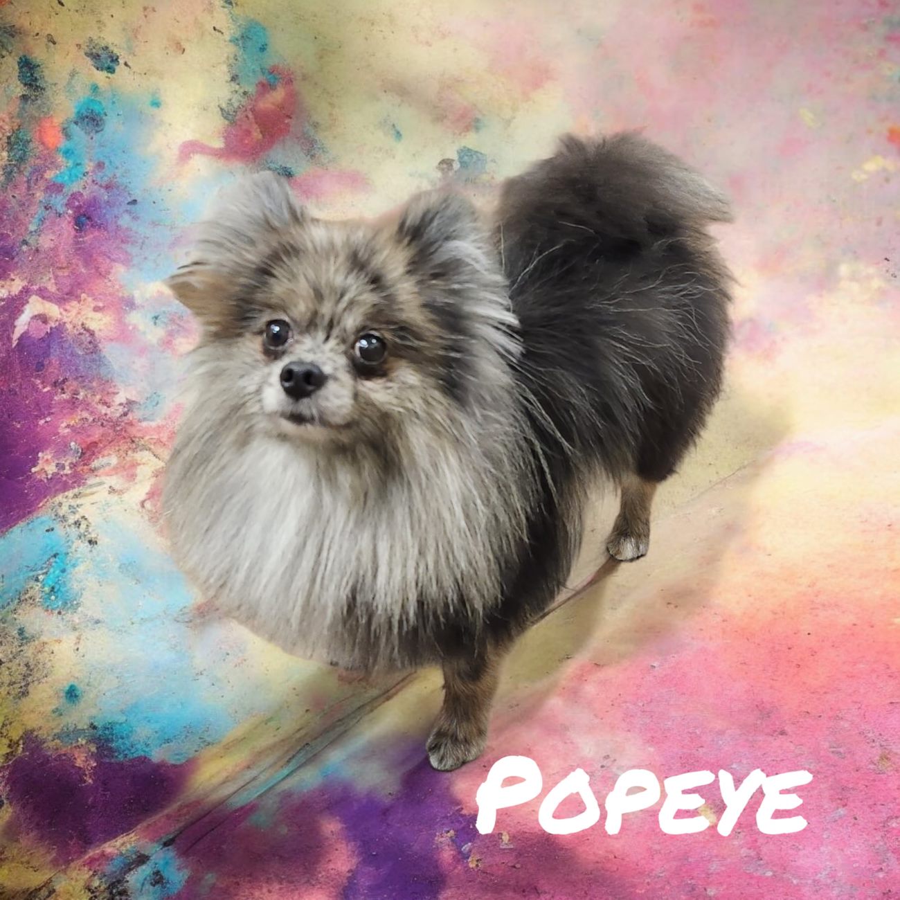 Popeye 4