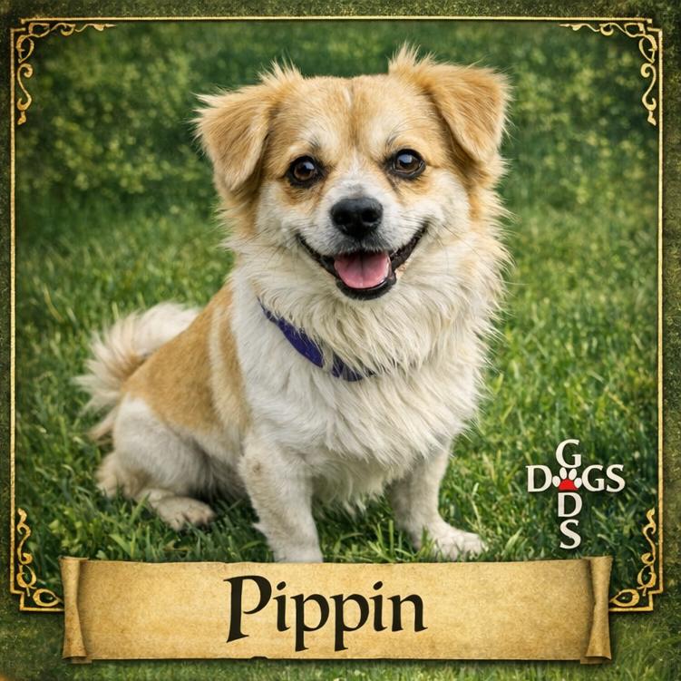 Pippin JDG