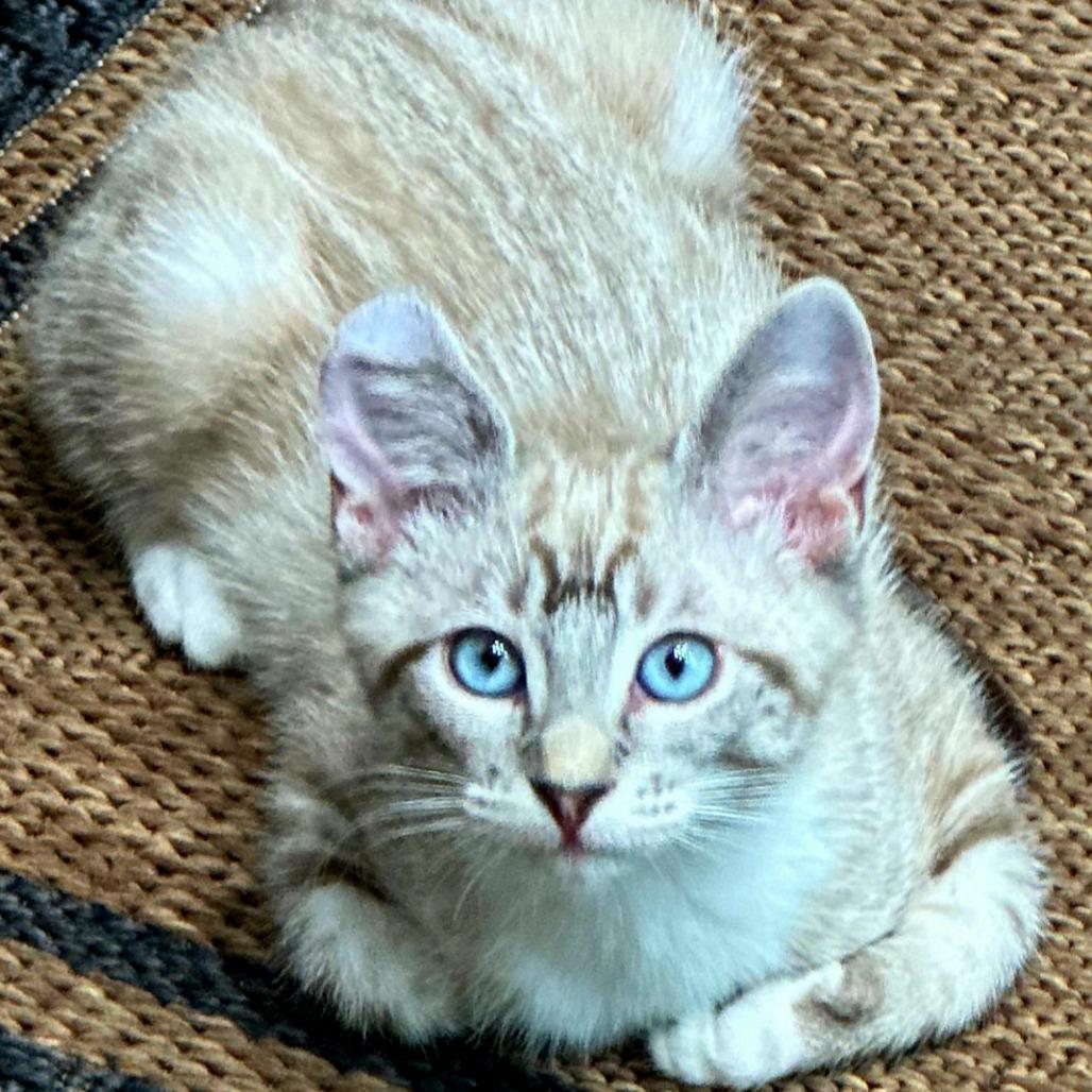 Hannah — thumbnail 3