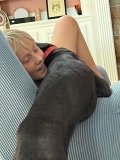 Demelaurd / Nolan, a Adoptable mixed breed in Broomfield, CO image 2/6