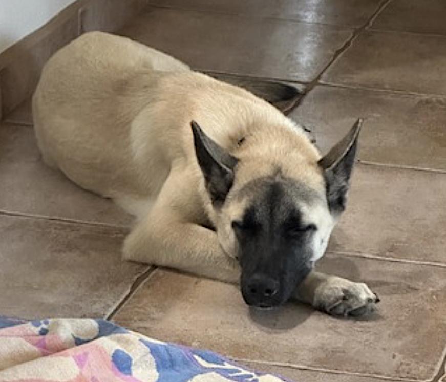 Titus — thumbnail 5