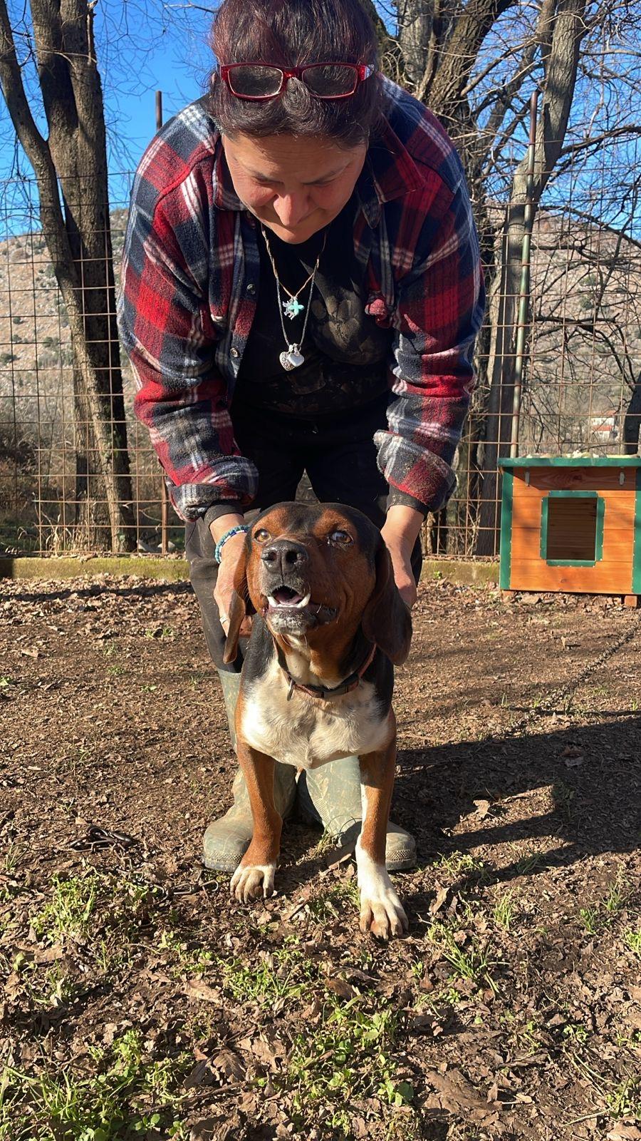 Paul — thumbnail 3