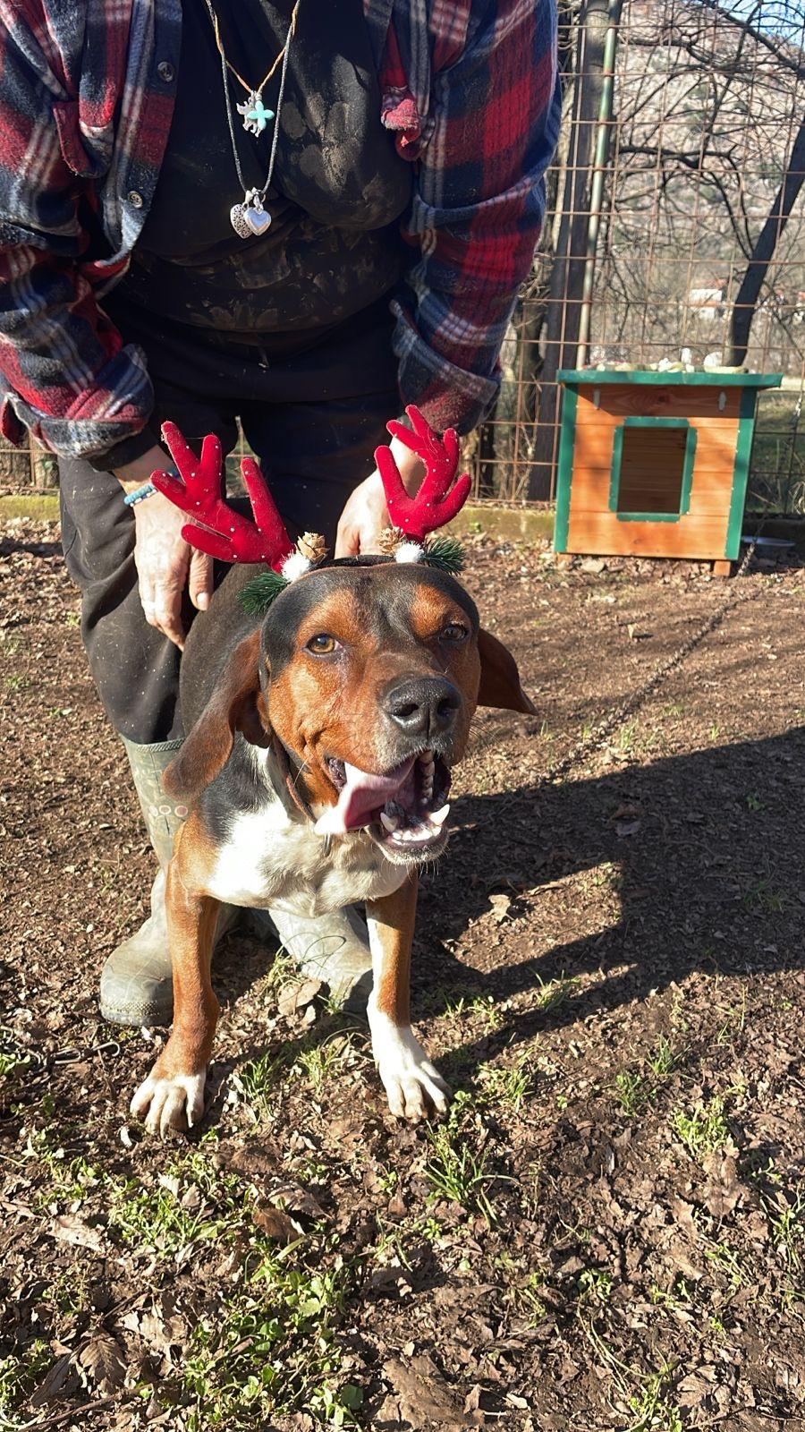 Paul — thumbnail 5