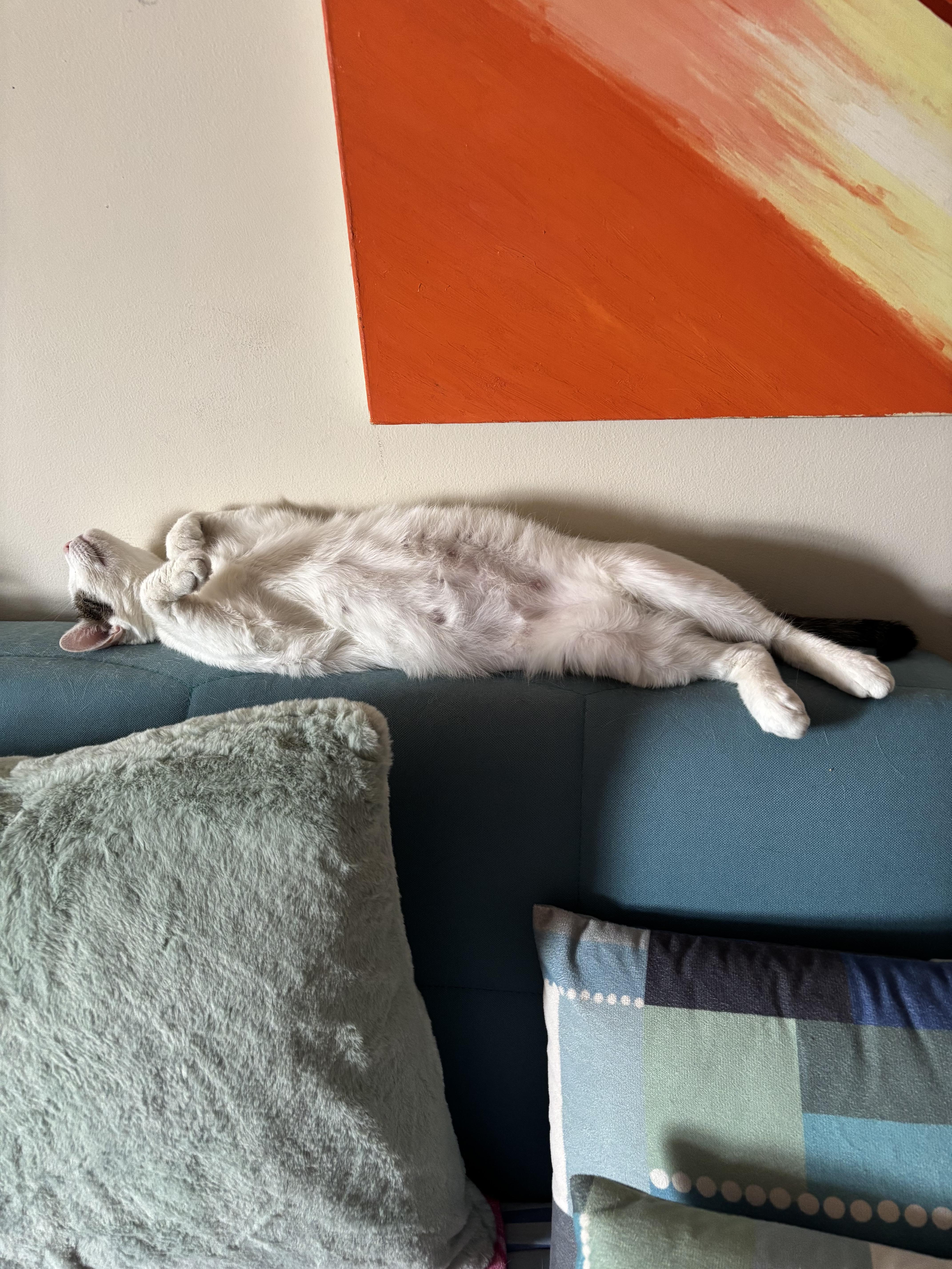 Pinky ( sweet girl)