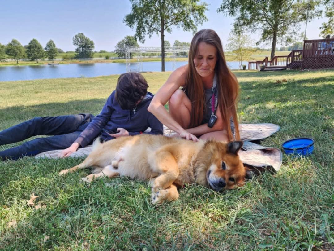 Enlarge Seeley, a Adoptable mixed breed in Lexington, MO image 2/6