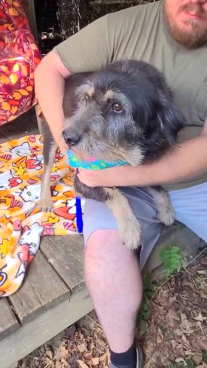 Enlarge Oreo, a Adoptable Mixed Breed in Woolwich, ME video 5/5