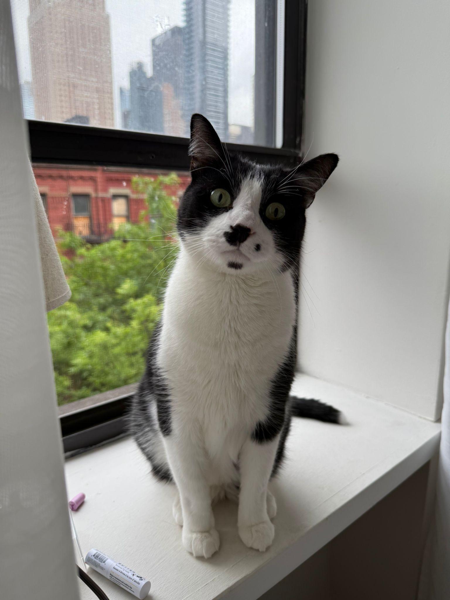 Gigi with the Mustache