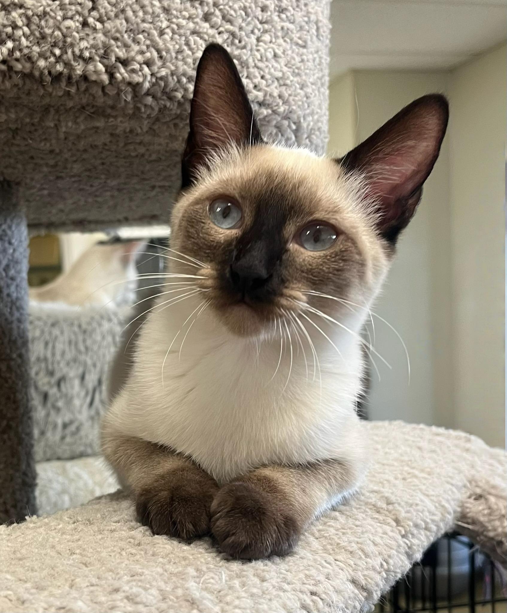 Mystic-She’s a Shimmer in the Spotlight and a Soft Heart Offstage