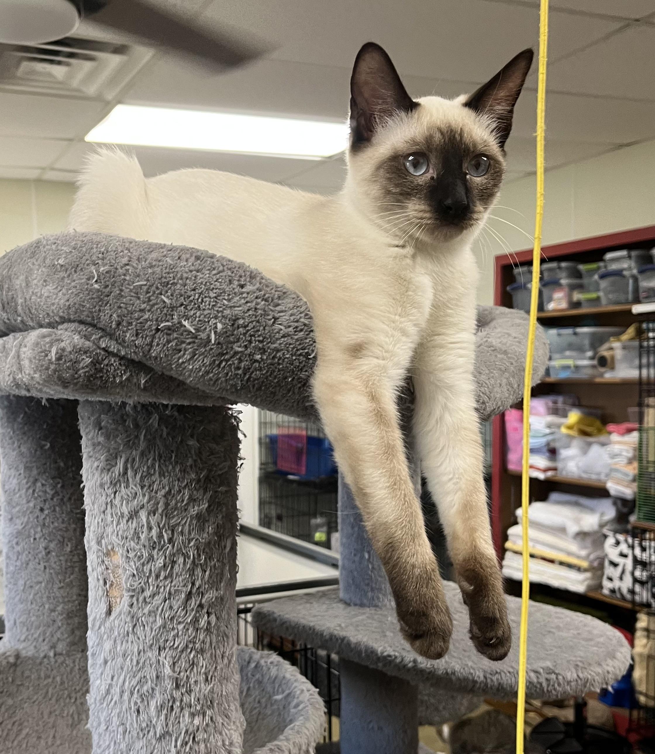 Mystic-She’s a Shimmer in the Spotlight and a Soft Heart Offstage