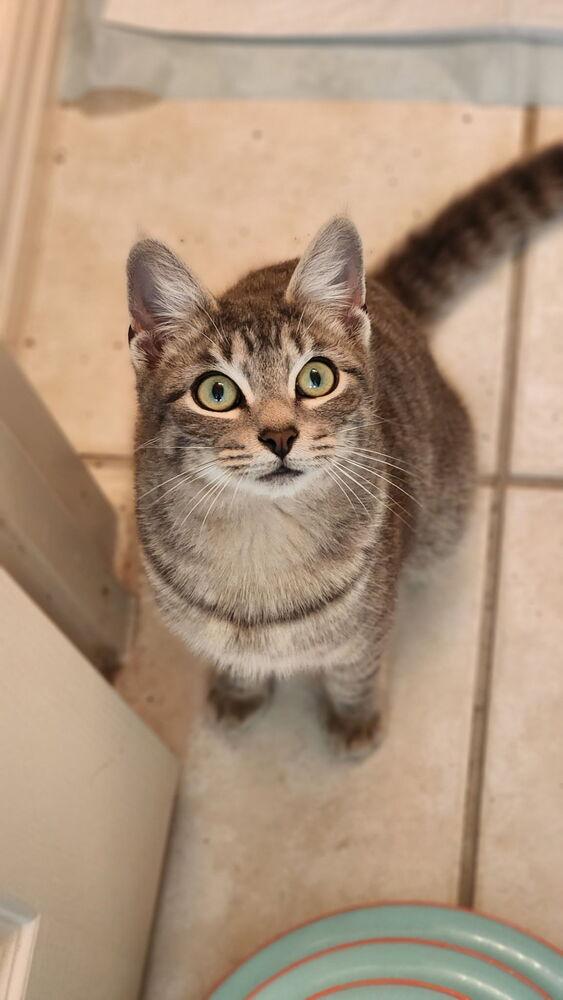 Phil — thumbnail 2