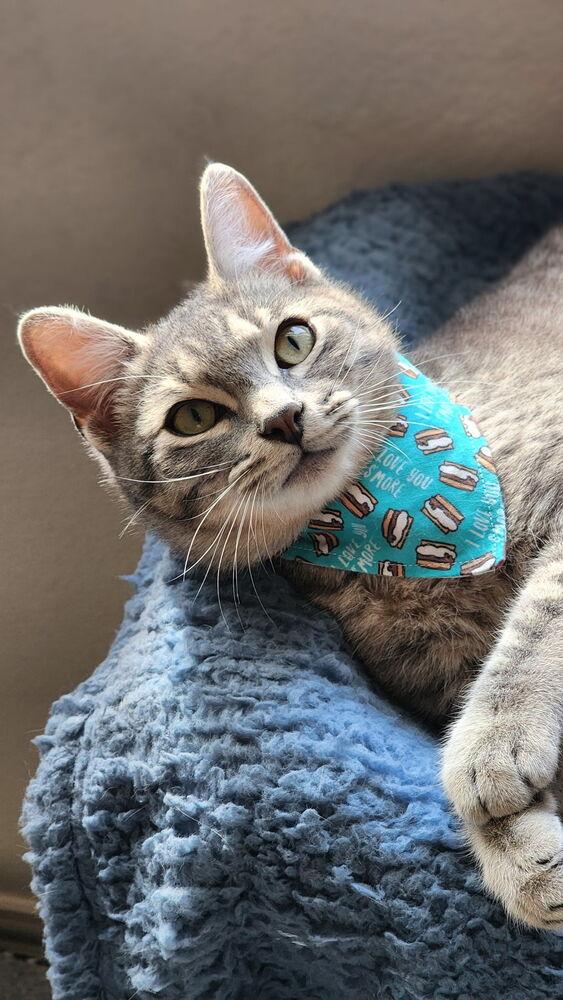 Phil — thumbnail 3