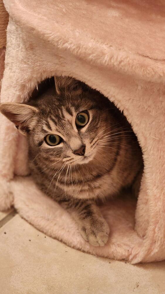 Phil — thumbnail 4