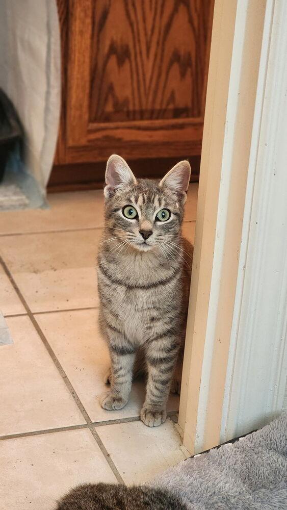 Phil — thumbnail 5