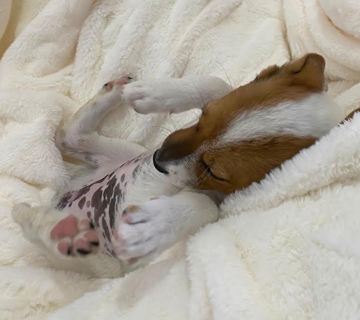 Holly — thumbnail 2