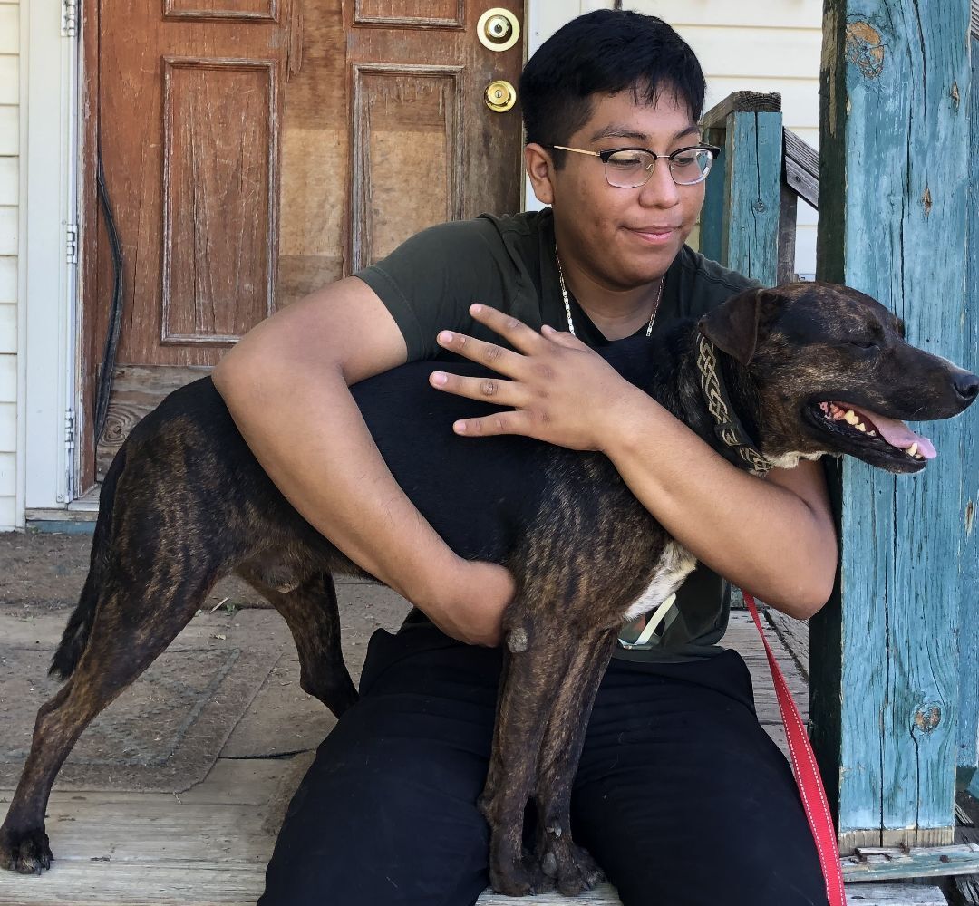 Buster, a Adoptable mixed breed in Tulsa, OK image 3/8