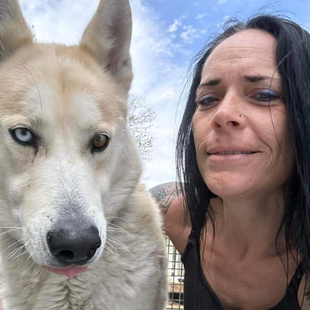 Enlarge Gunner, a Adoptable mixed breed in Eufaula, OK image 2/6