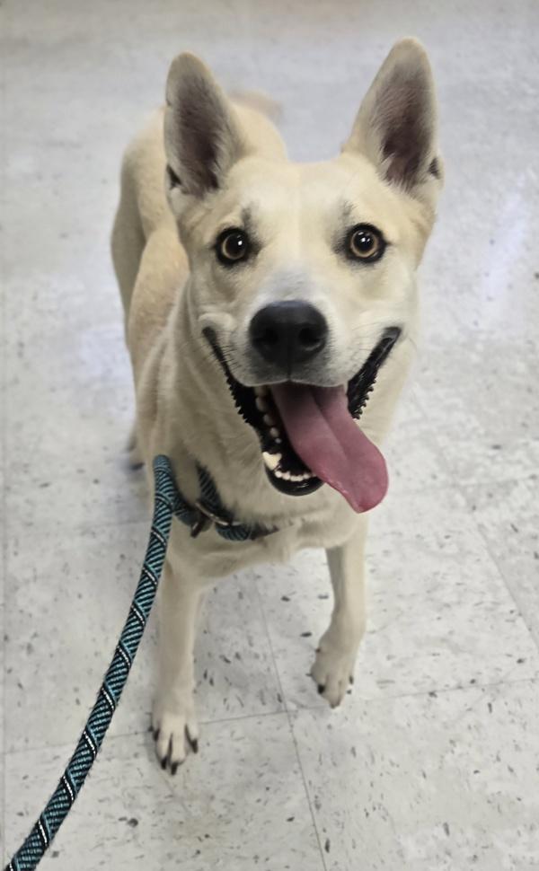 Sadi Sol thumbnail 2