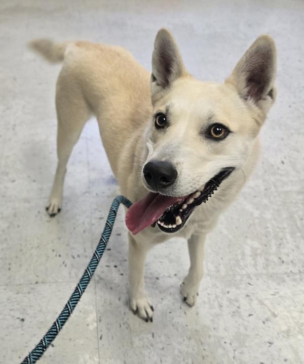 Sadi Sol thumbnail 3