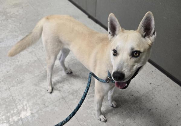 Sadi Sol thumbnail 4