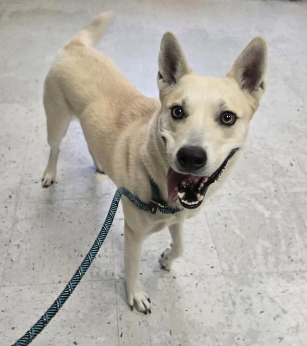 Sadi Sol thumbnail 5