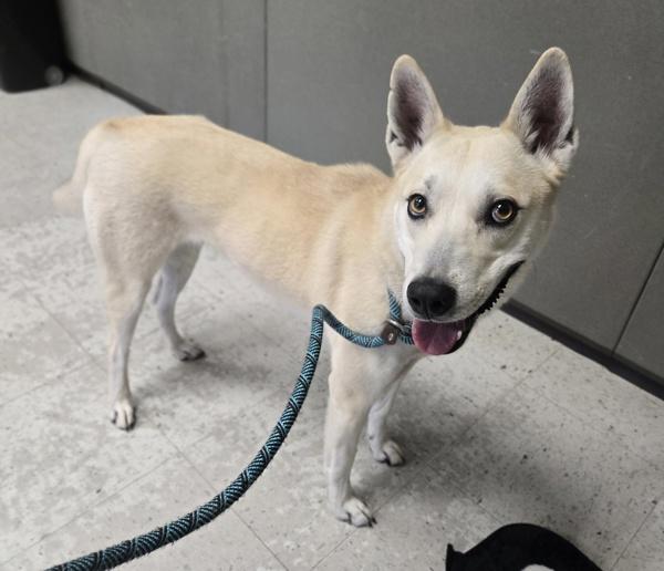 Sadi Sol thumbnail 6