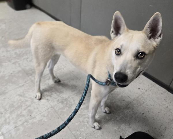 Sadi Sol thumbnail 7