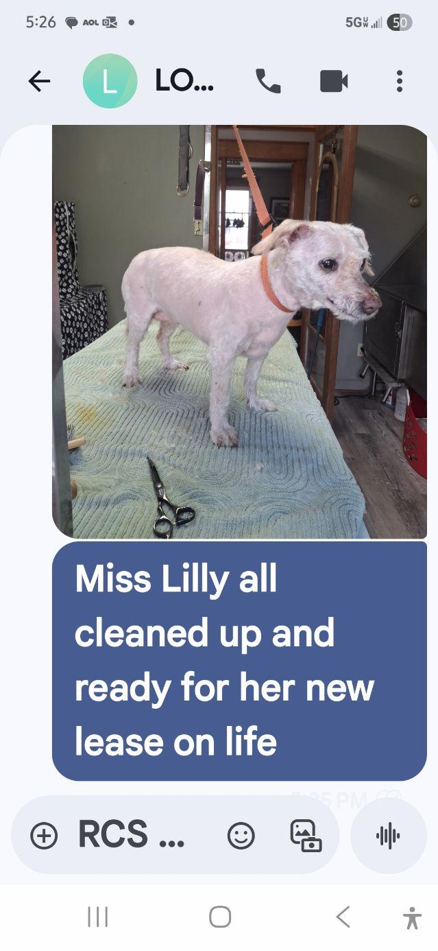 Lilly