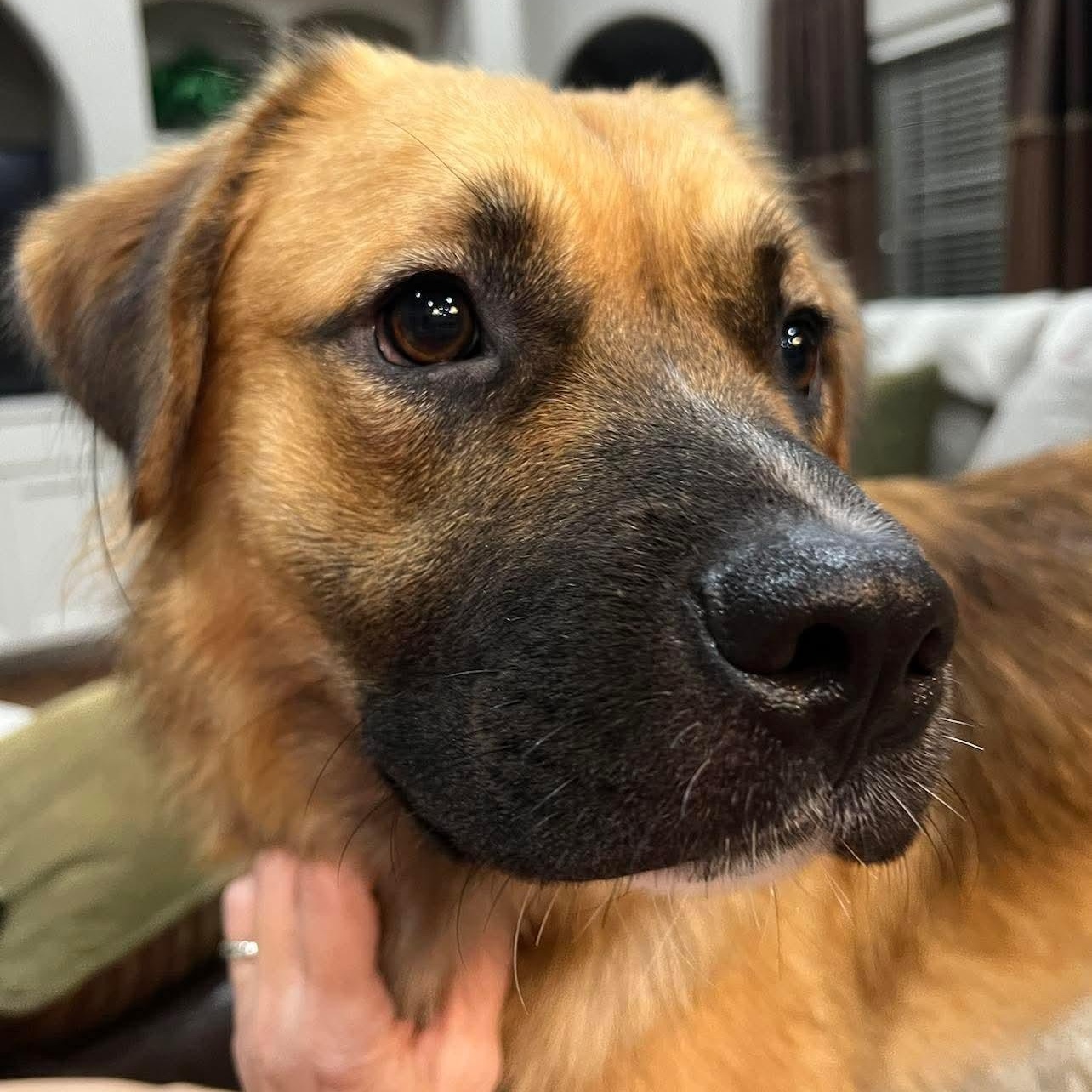 Murphy