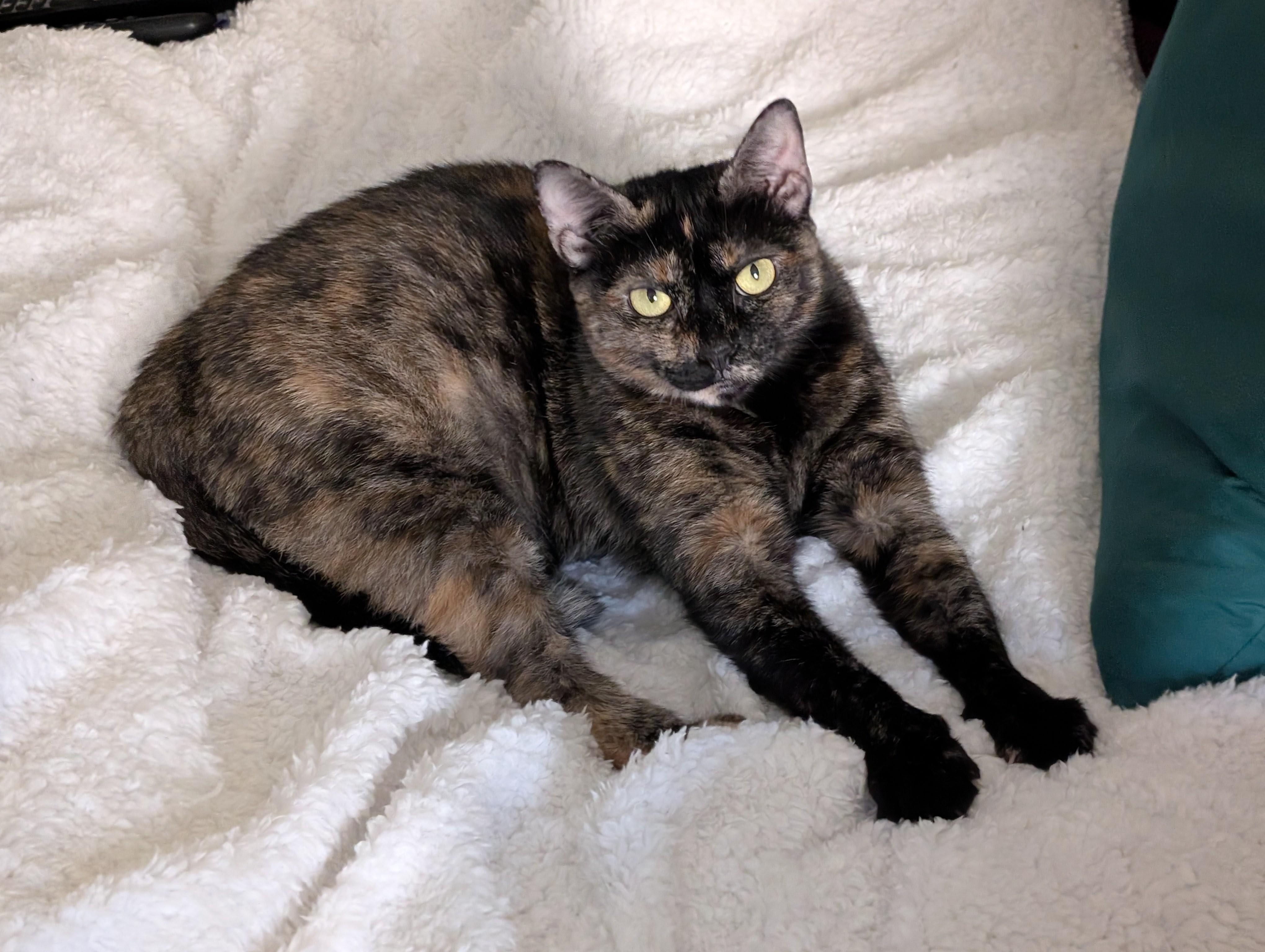 Molly