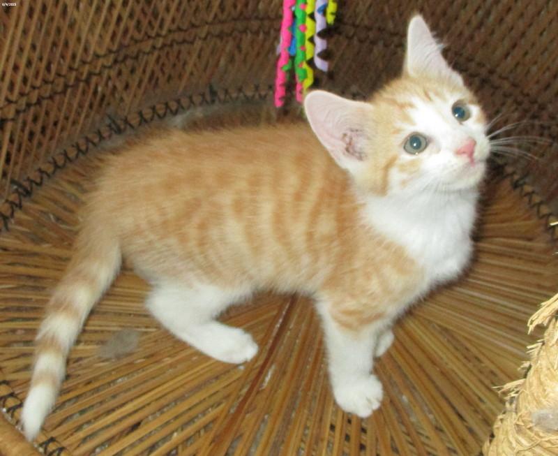 Roger, Baby Male unknown
