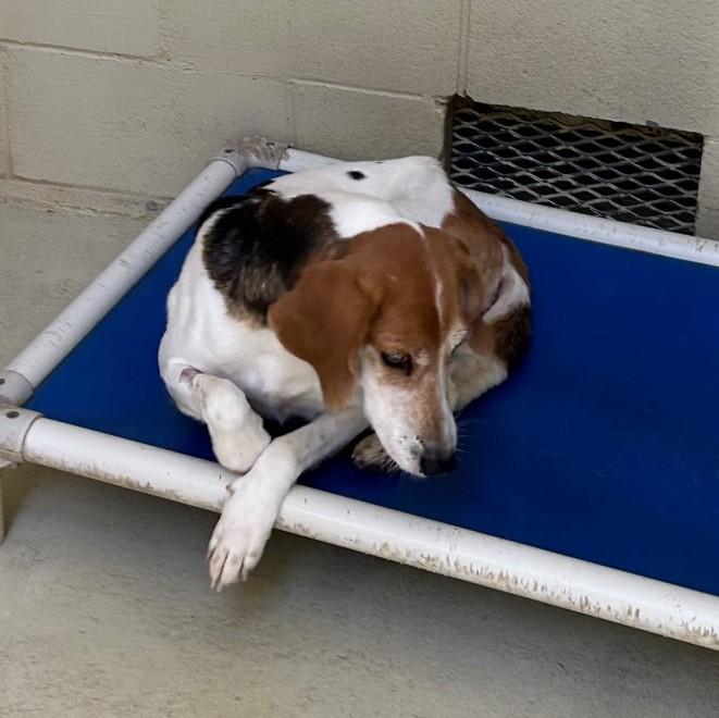 Bristine thumbnail 3