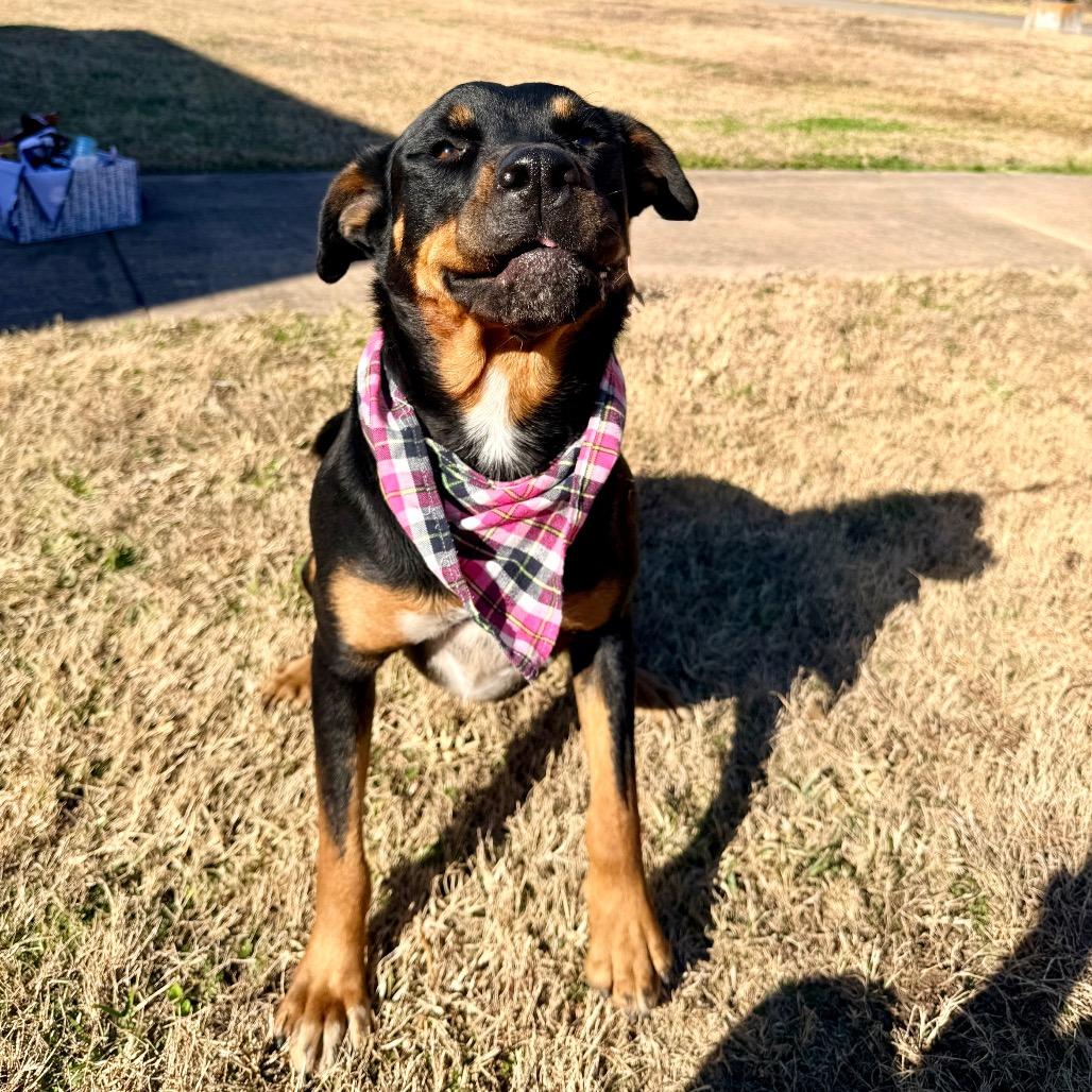 Maria — thumbnail 2