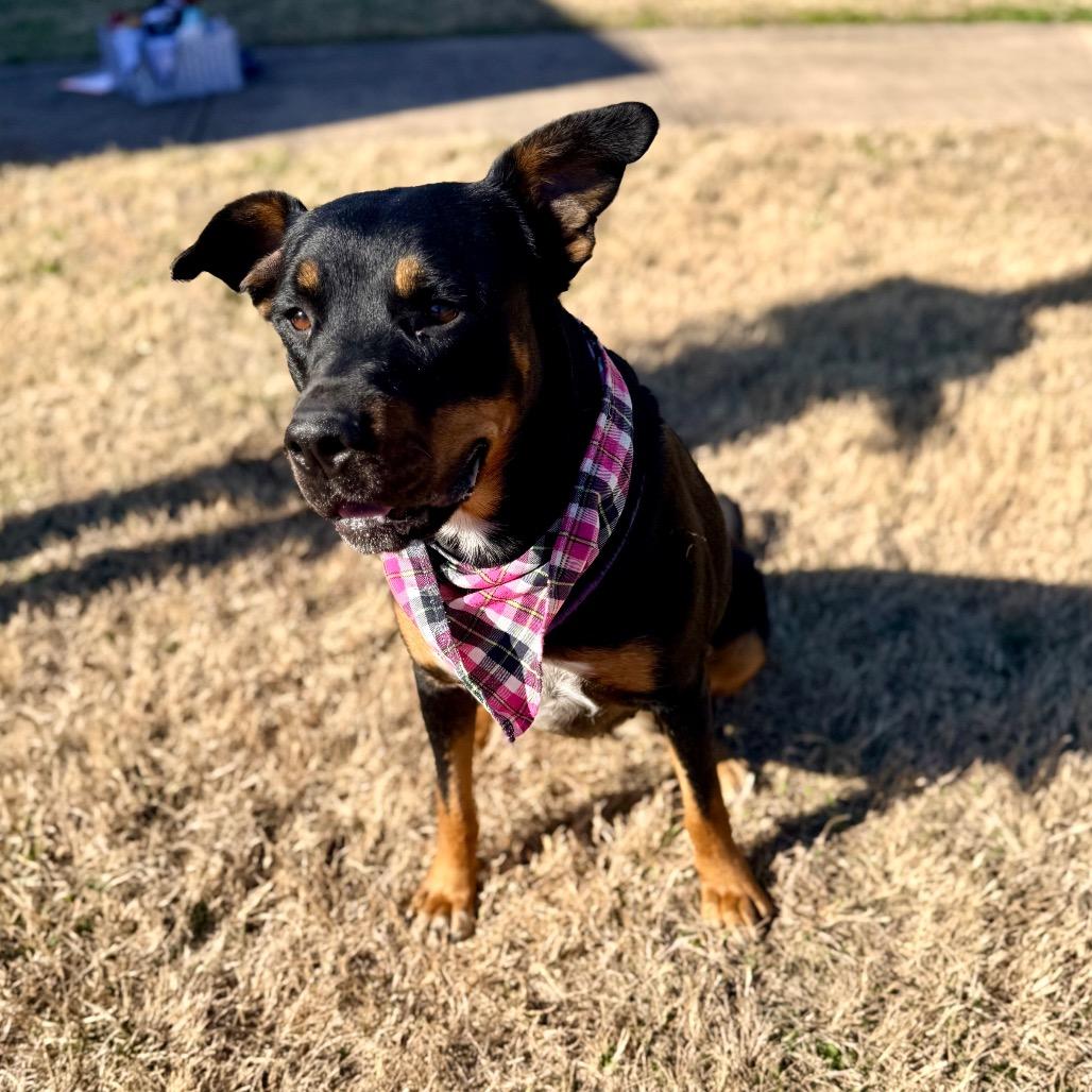 Maria — thumbnail 5