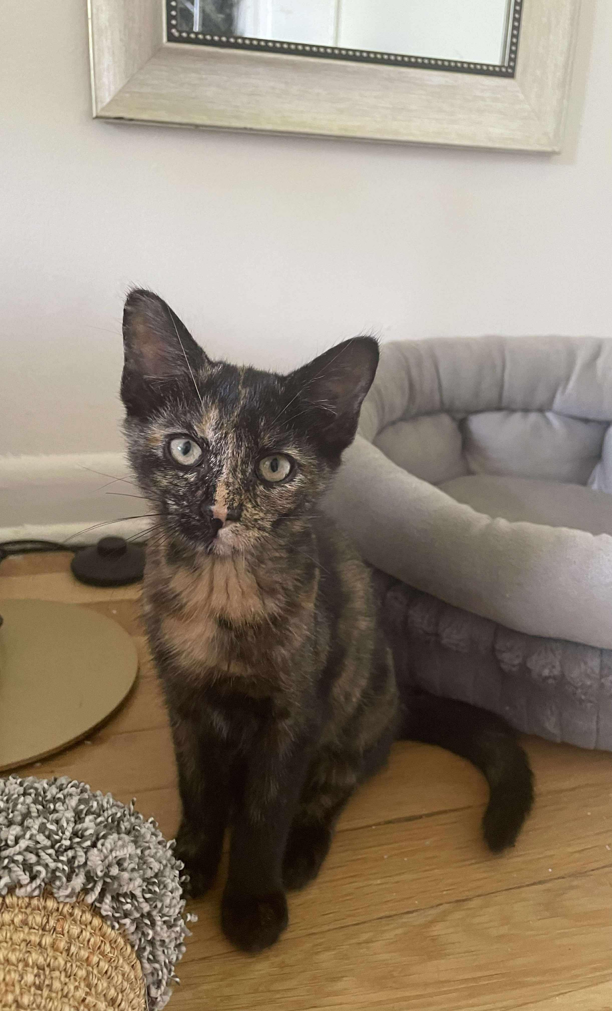 Penelope