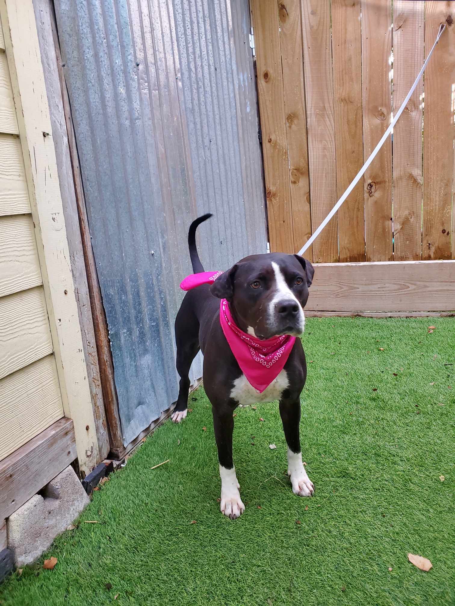 Jewel — thumbnail 3