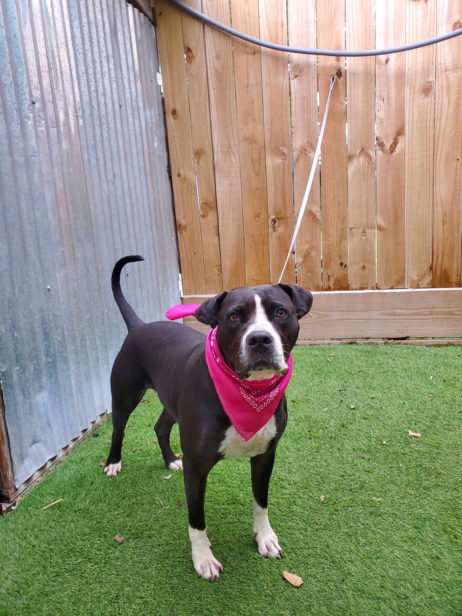 Jewel — thumbnail 6